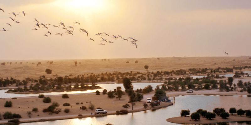 Al Qudra Lakes